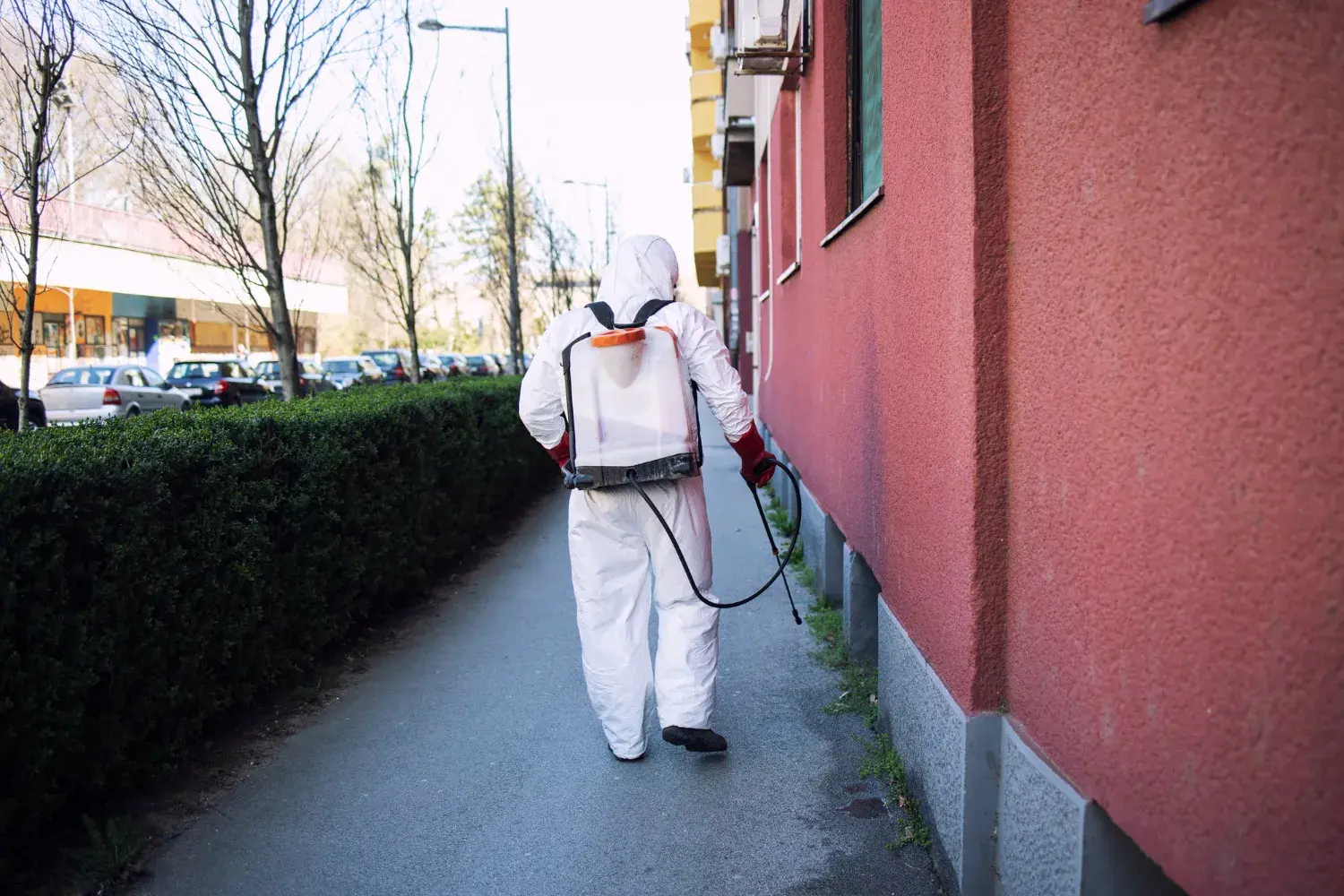Pest control technician spraying along the outside wall of a building