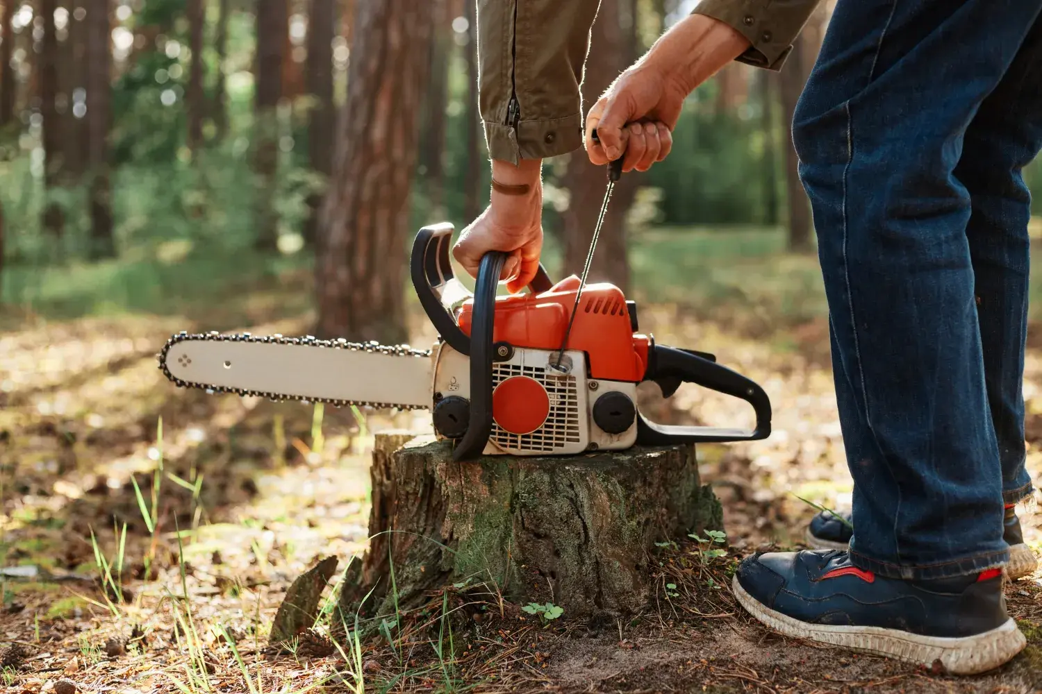 Chainsaw resting on a cut tree stump